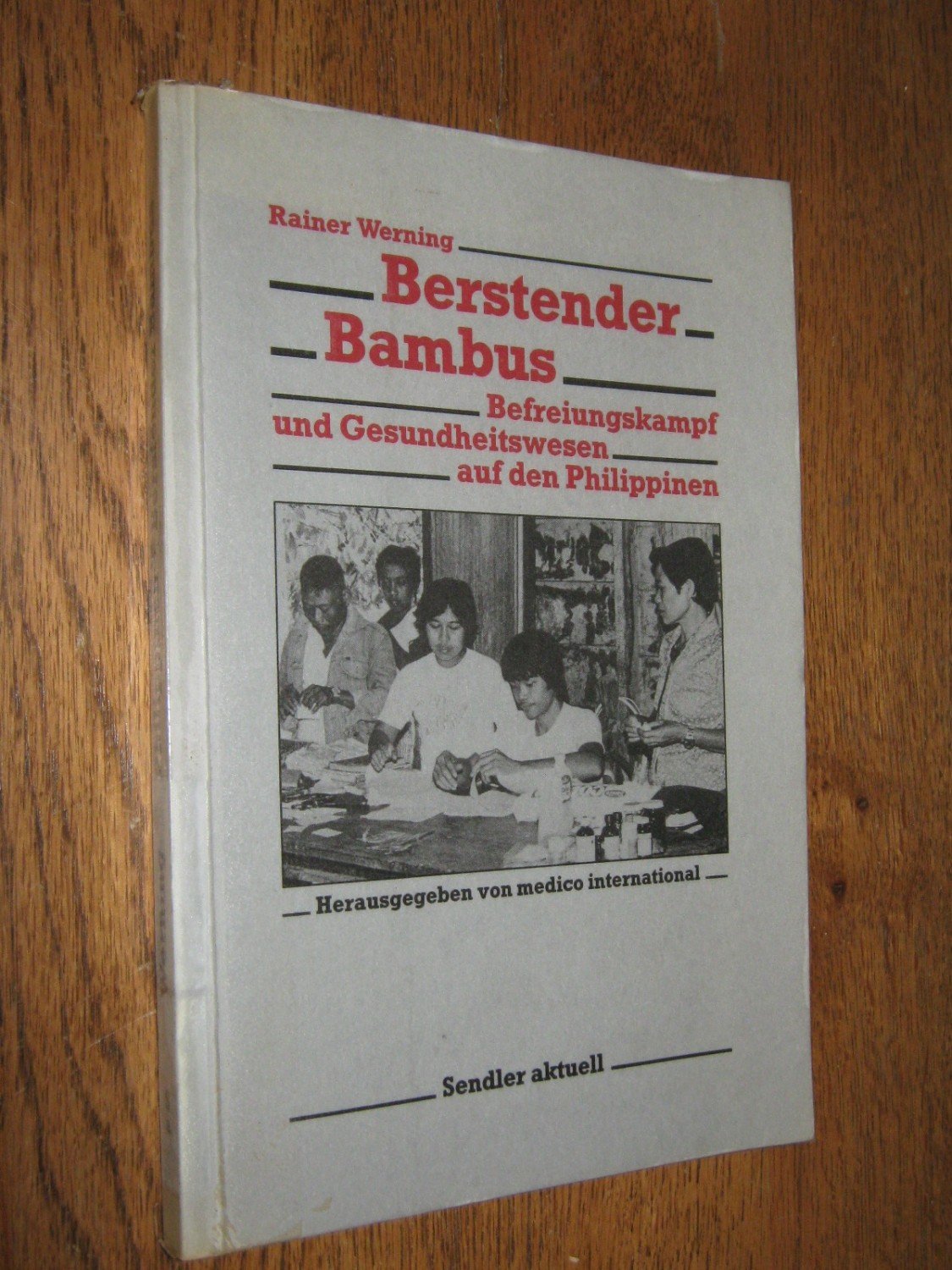 Berstender Bambus. Befreiungskampf und Gesundheitswesen auf den Philippinen